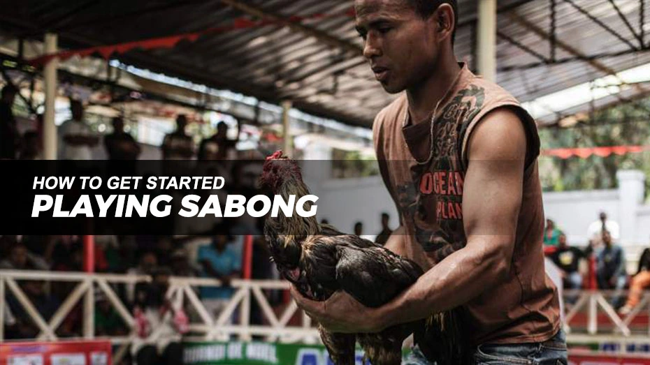 How to get started playing Sabong | Online Sabong