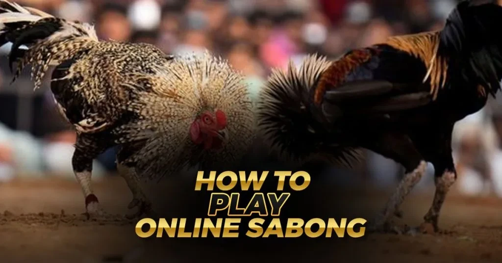 How to Play Online Sabong | Nustabet Gaming