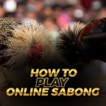 How to Play Online Sabong | Nustabet Gaming