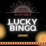 Lucky Bingo | Nustabet Online Casino