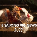 Sabong and e Sabong news 2022