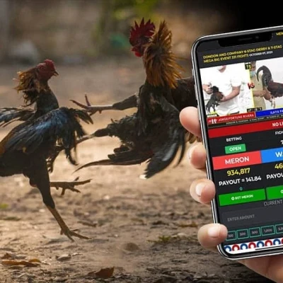 Online Sabong Live Betting Strategies and Tips | Nustabet Gaming