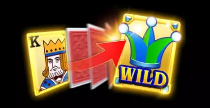 gc.webp