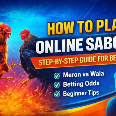 What to Play Online Sabong for Beginners: Step-by-Step Guide